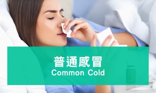 姨妈期间能吃猪脚姜吗专区_姨妈期能吃猪脚姜吗专区_来月经期间可不可以吃猪脚姜网