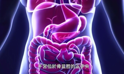 姨妈期能吃猪脚姜吗-姨妈期间能吃猪脚姜吗专区_姨妈期能吃猪脚姜吗专区_来月经期间可不可以吃猪脚姜网